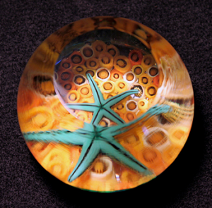 starfish paperweight MFA