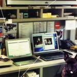 Martha Stewart's home office desk, very filled but organized