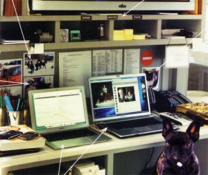 Martha Stewart's home office desk, very filled but organized