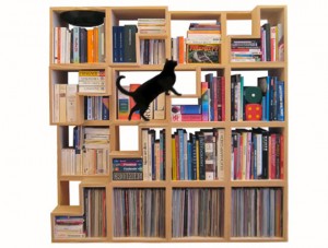 Bookcase with steps for cats to climb.