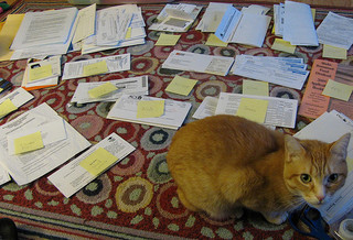 random papers in piles on a rug with cat